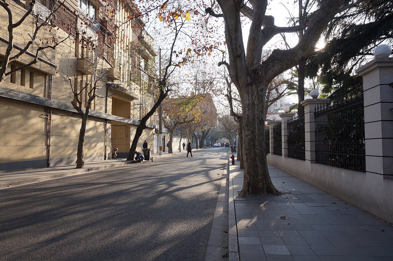 Area photo: Tree-lined plane-tree street and historic villas in Shanghai Former French Concession